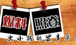 无极最新爆料新闻,神秘事件背后真相揭晓