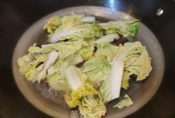 白菜吃鸡爆料视频下载,揭秘游戏幕后精彩瞬间