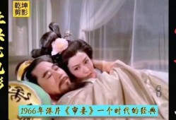 审妻在线观看,揭秘婚姻背后的真相与抉择